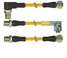 Macho M12 a Hembra M12